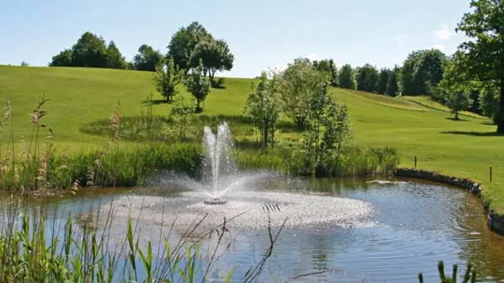 Blick auf das Grün mit Biotop des Golfplatzes Isarwinkel