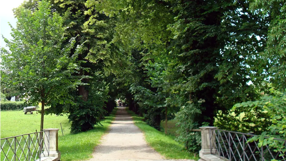 Lindenallee am Kloster Bernried