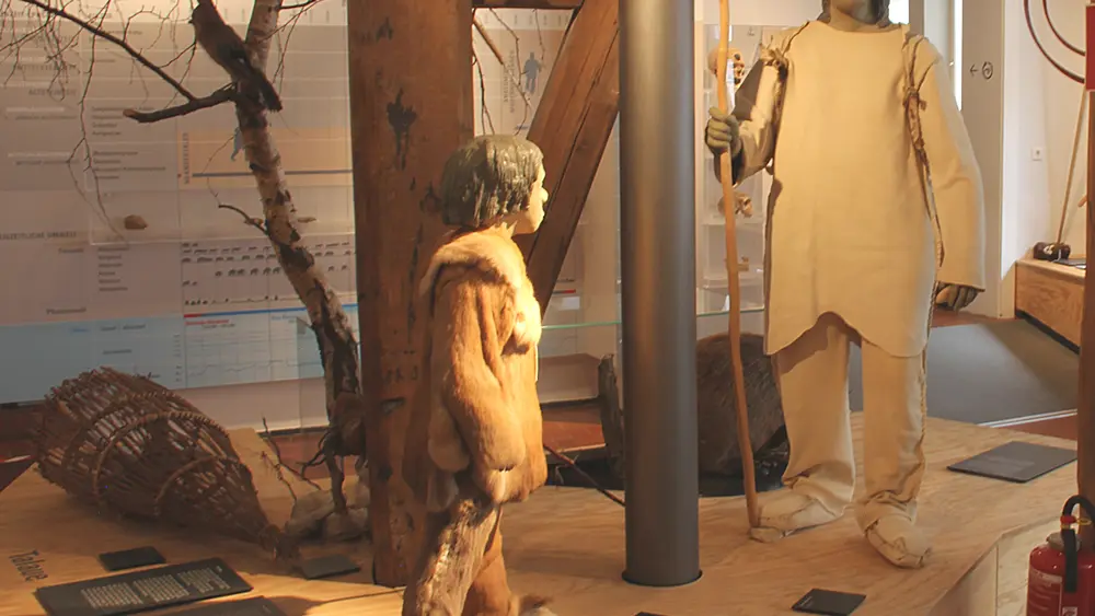 Leben in der Eiszeit - Urgeschichtliches Museum Blaubeuren