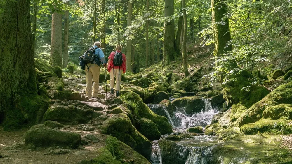 Wandern an den Gertelbach-Wasserfällen