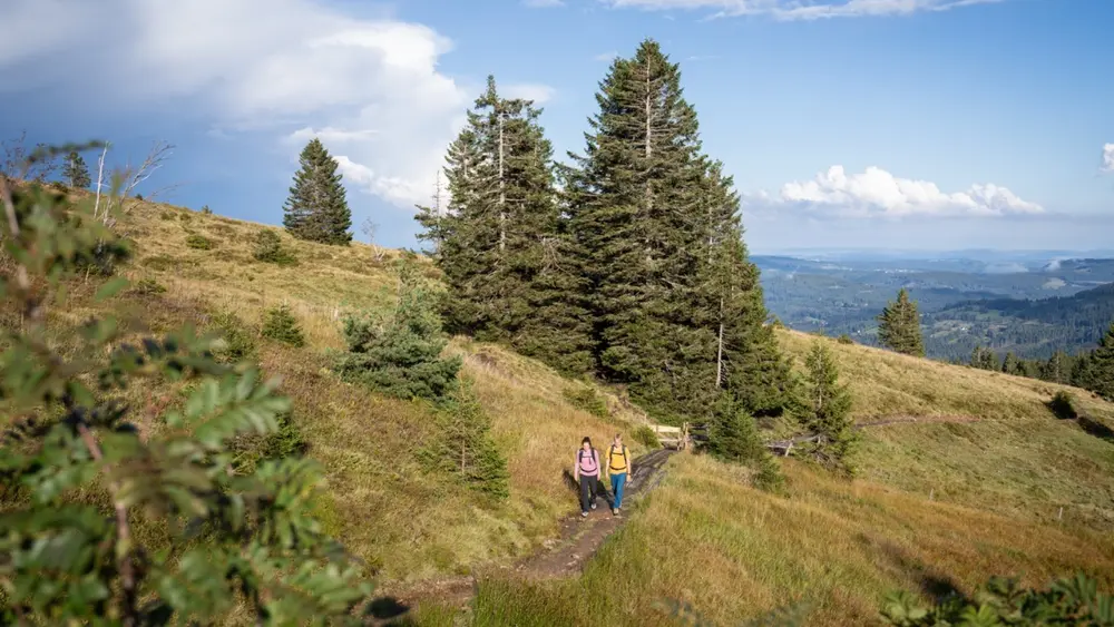 Wandern am Feldberg
