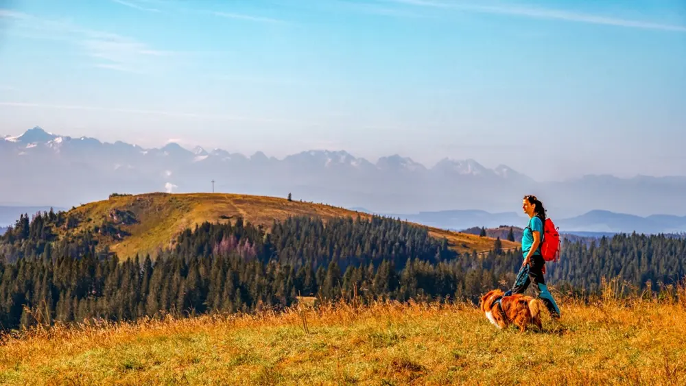 Wanderin mit Hund am Feldberg