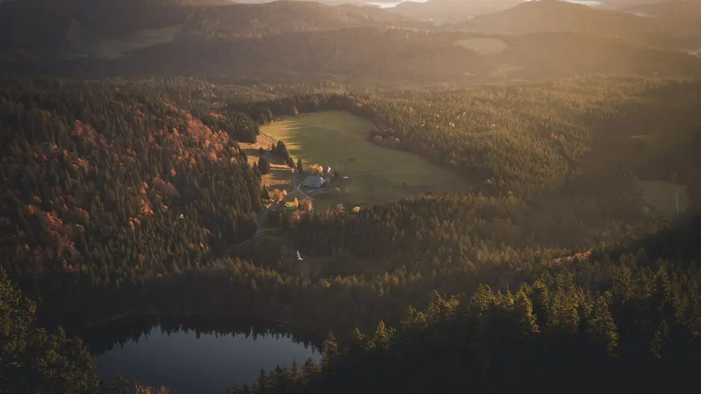 Herbstliche Morgenstimmung mit Blick auf den Feldsee
