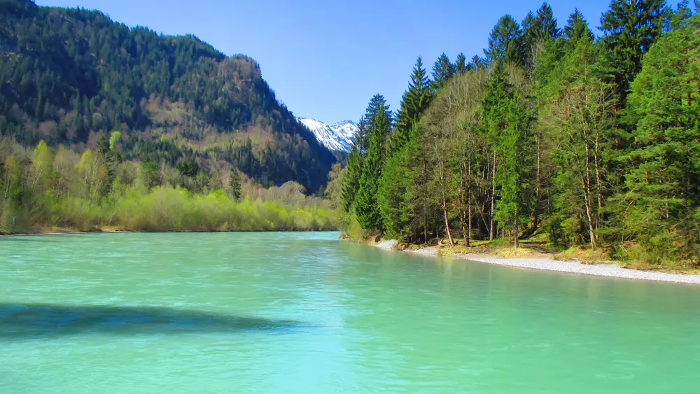 Grün leuchtender Lech bei Füssen