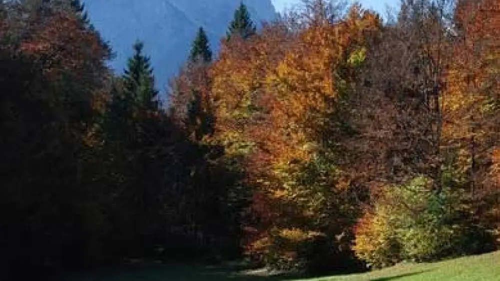 Blick von der Sonnenterrasse der Aule Alm auf den Waxenstein