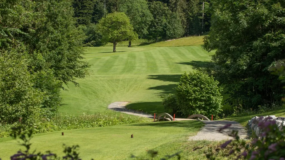 Impressionen aus dem Golfclub in Oberstaufen