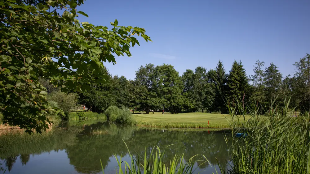 Impressionen aus dem Golfclub in Oberstaufen