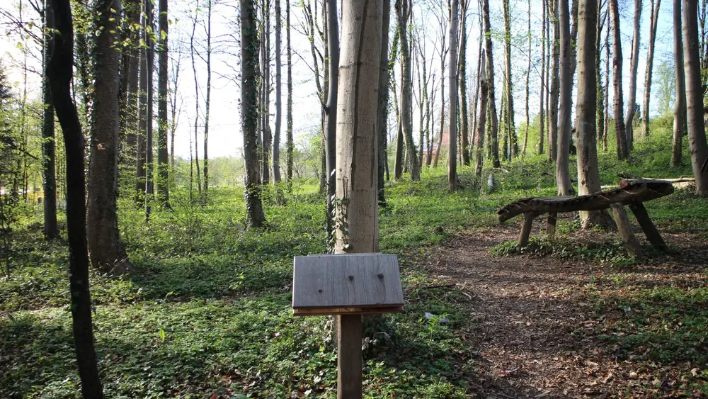 Naturlehrpfad Königsweg in Murnau