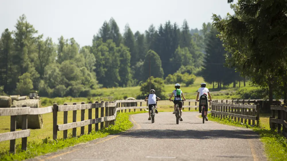Familie mit Mountainbikes auf einem Radweg im Val di Sole