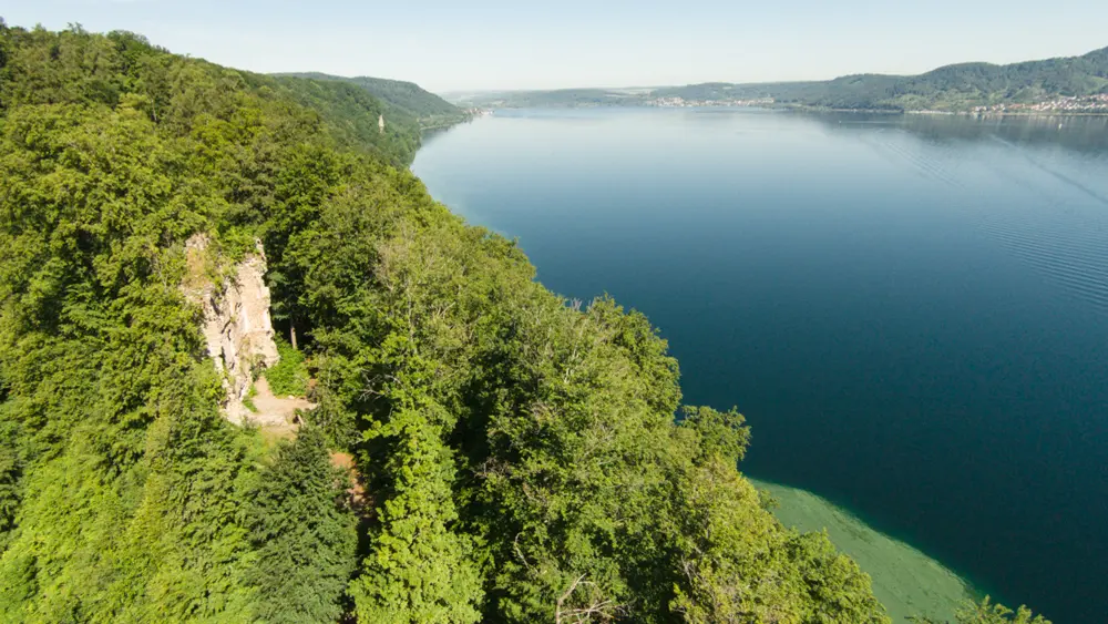 Waldpfad zur Ruine Kargegg