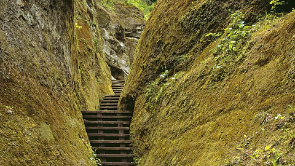 Die Steganlage schlängelt sich durch die Marienschlucht am Bodensee