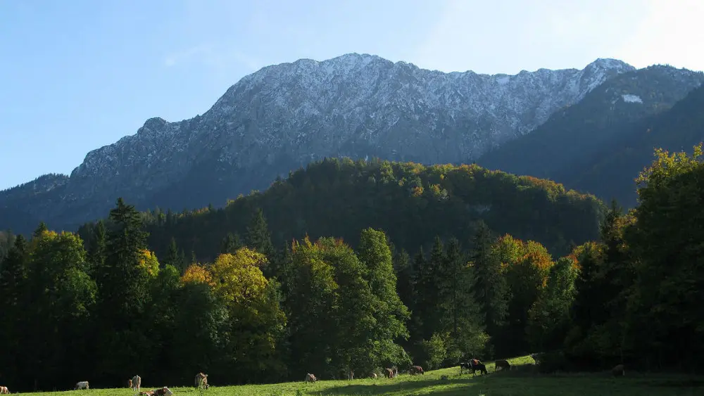 Der Herzogstand bei Kochel am See