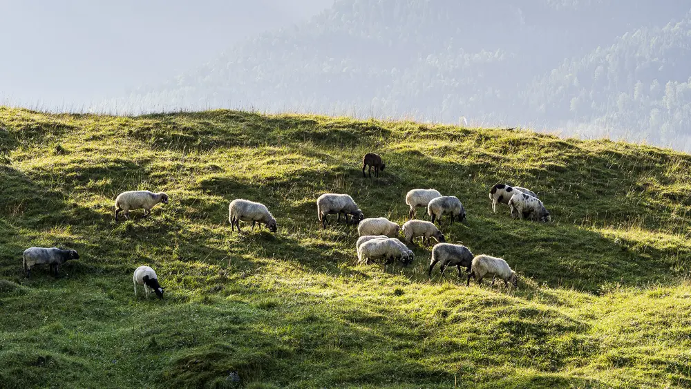 Golf- und Landclub Karwendel