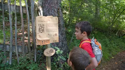 Gnadenwalder Baumpfad