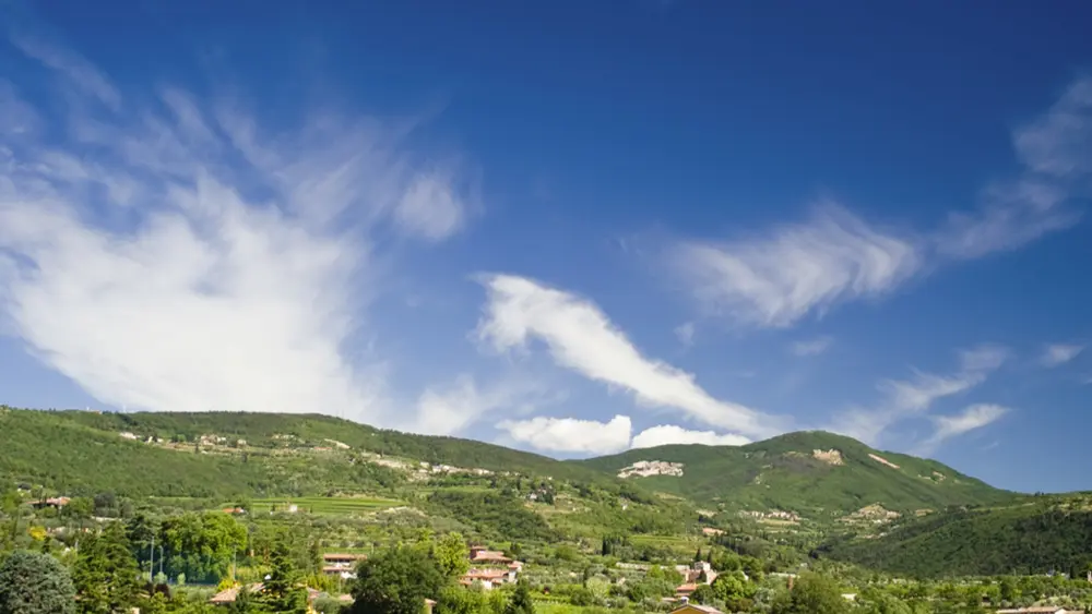 Blick auf Weinberge im Valpolicella