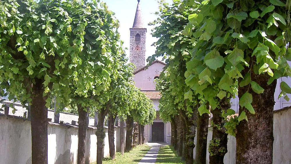 Lindenallee vor Santa Maria della Misericordia in Ascona