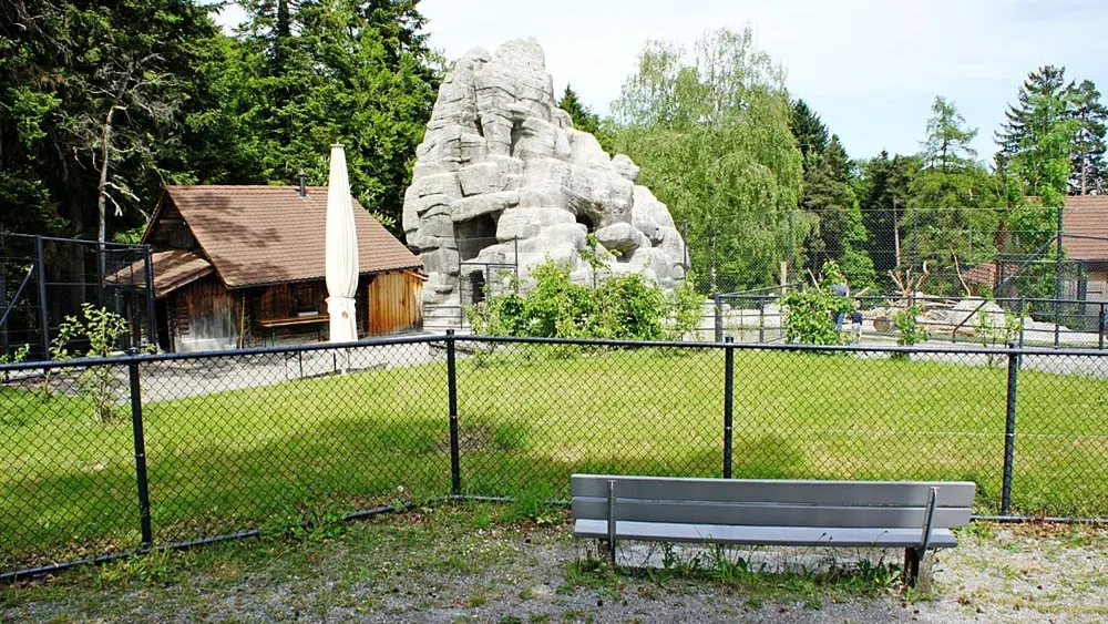 Steinbockfelsen im Wildpark Peter und Paul St. Gallen