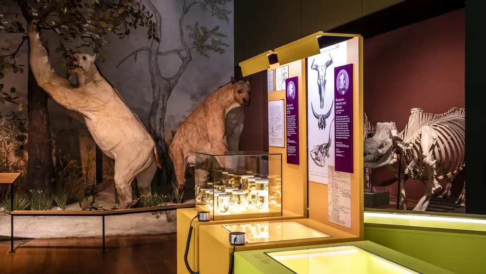 Ausstellung im Naturhistorischen Museum Basel