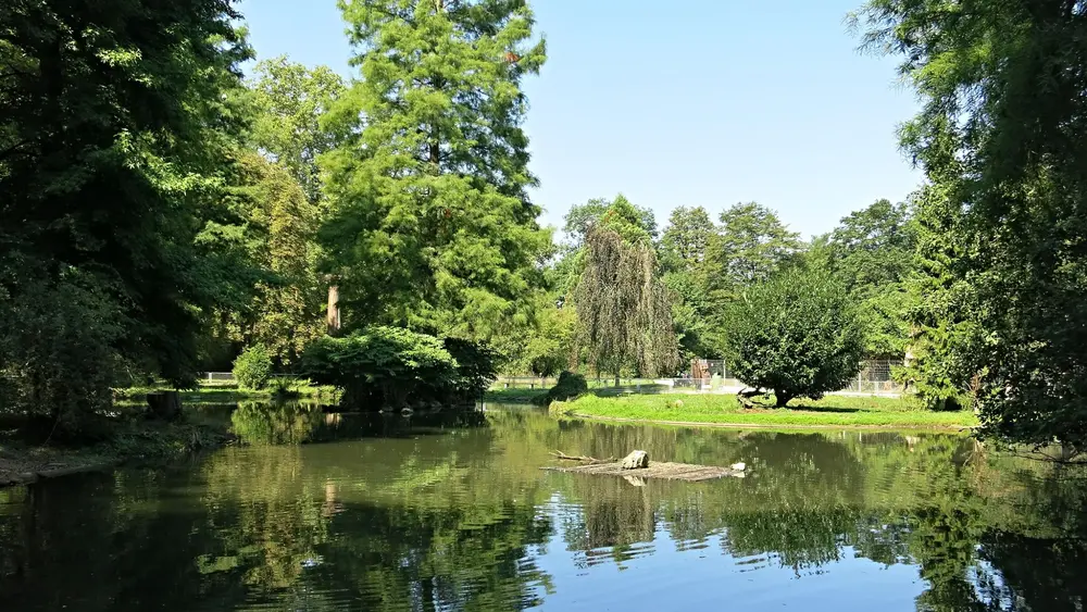 Unterer Weiher im Tierpark Lange Erlen