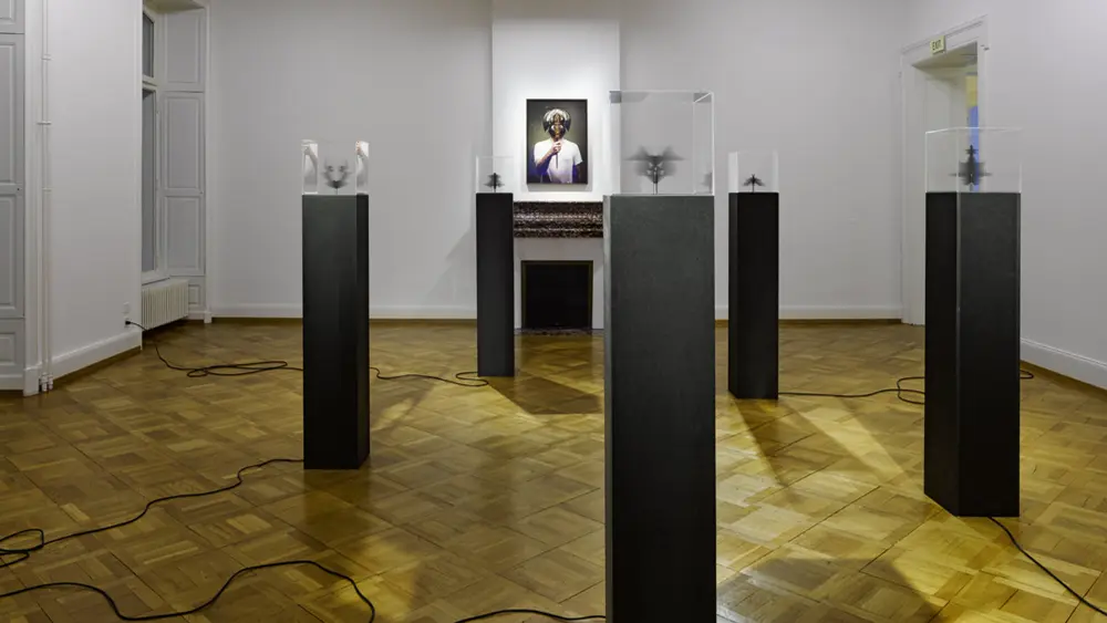 Detailansicht Christian Andersson im Jahr 2015