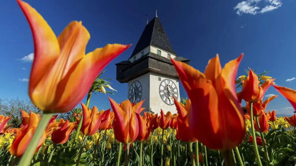 Frühling am Grazer Schlossberg