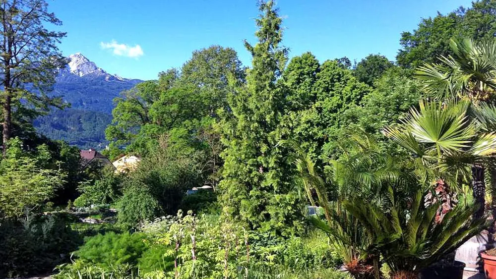 Das Freigelände des Botanischen Gartens in Innsbruck
