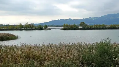 Naturschutzgebiet Rheindelta