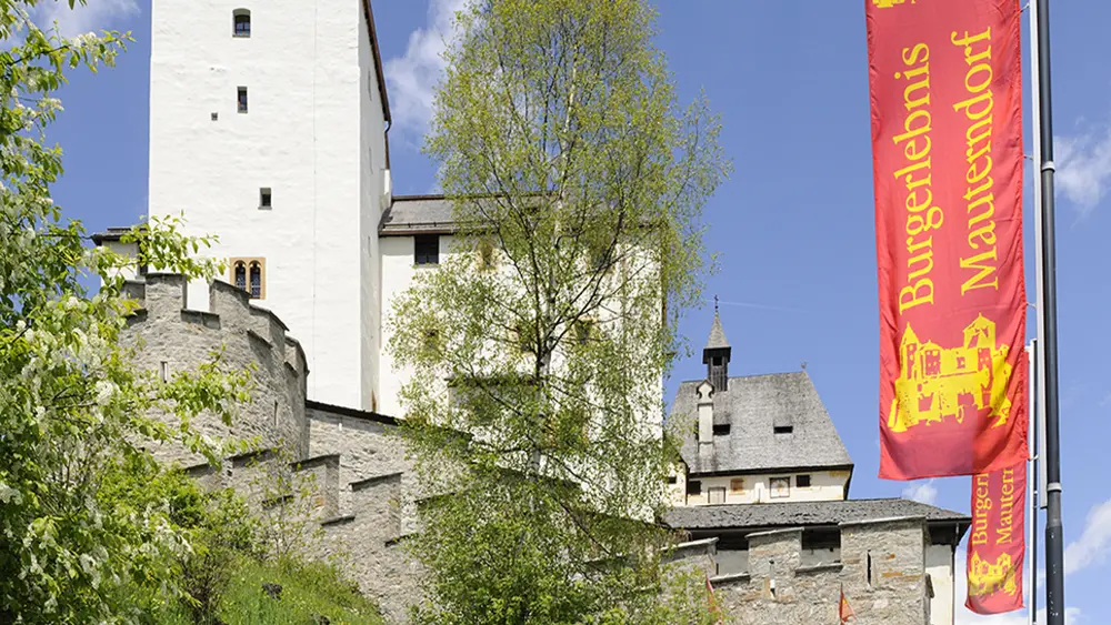 Die Burg Mauterndorf von außen