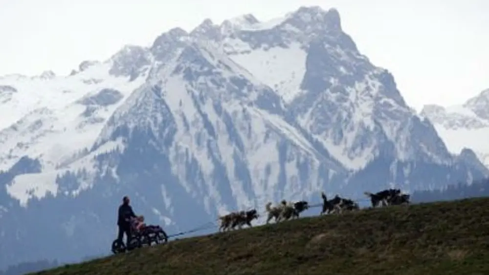 Abenteuer pur - mit den Huskys unterwegs