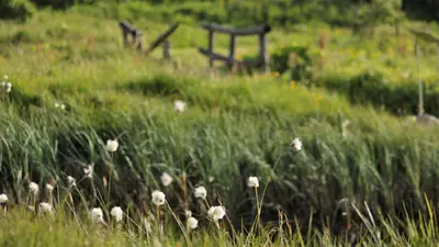 Naturschutzgebiet Torbiera del Tonale