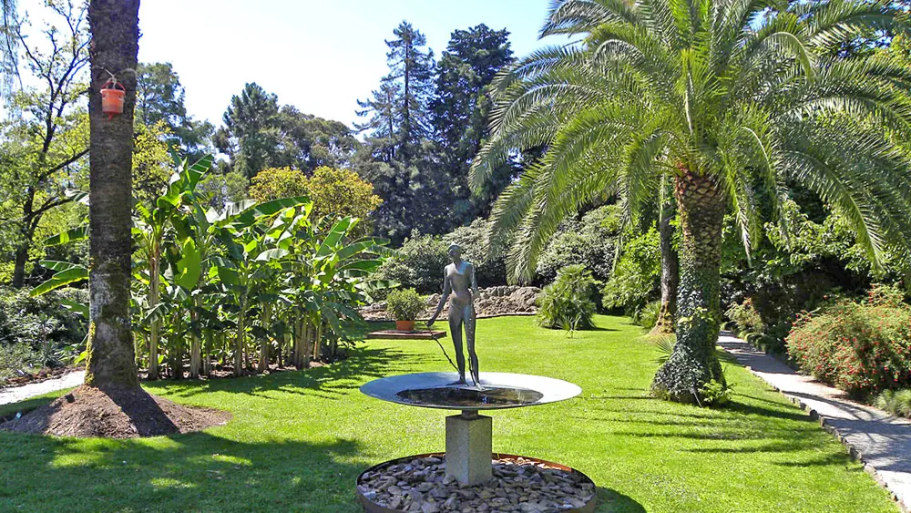 Blick in den Botanischen Garten auf der Brissago-Insel San Pancrazio