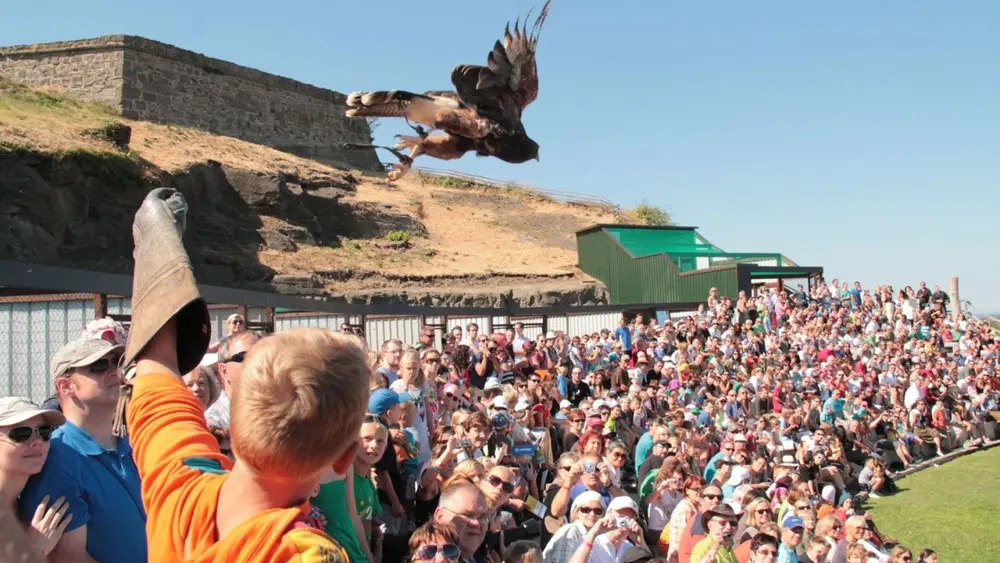 Mitmachangebot bei der Flugshow