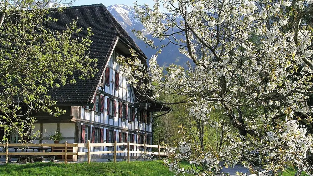 Freilichtmuseum Ballenberg im Frühling