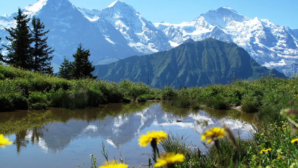 Aussicht von der Schynige Platte auf Eiger, Mönch und Jungfrau
