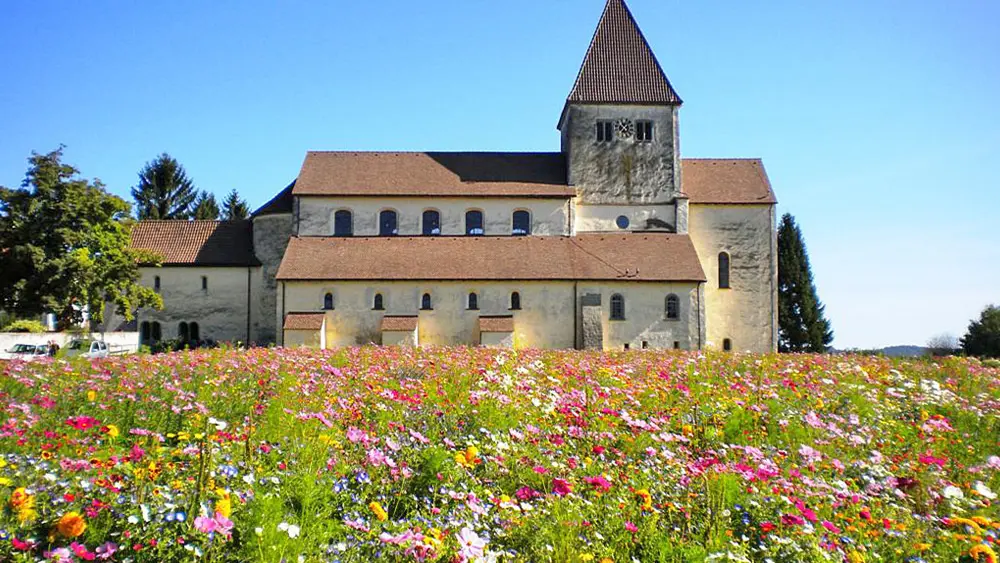 Blick auf die Kirche St. Georg auf der Reichenau
