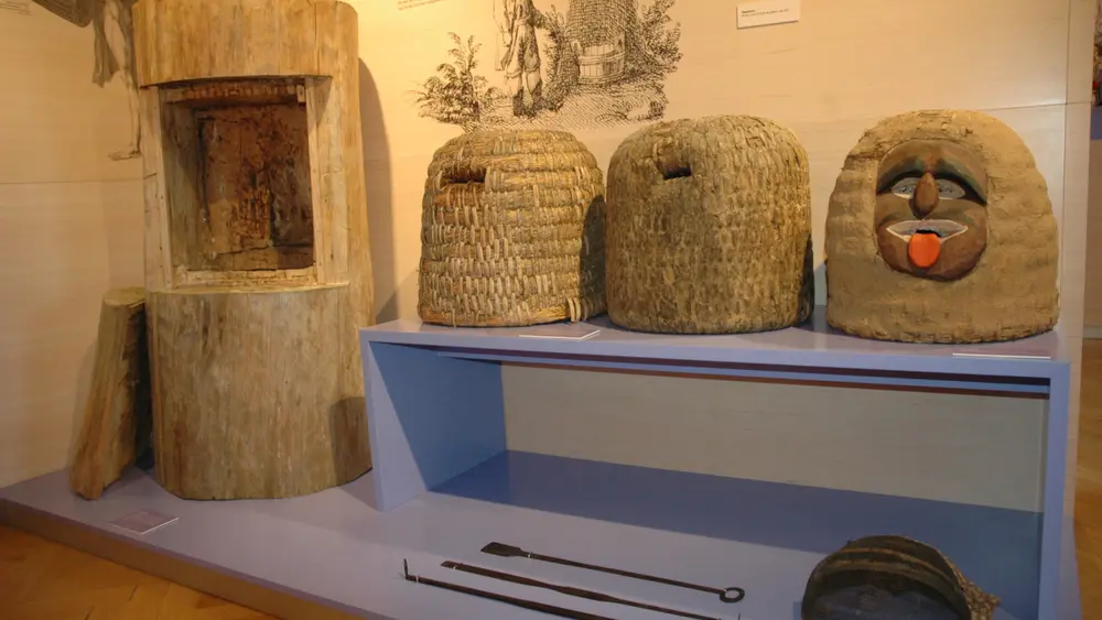 Bayerisches Bienenmuseum Illertissen - Sammlung Forster
