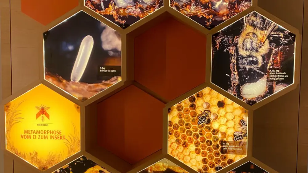 Bayerisches Bienenmuseum Illertissen - Sammlung Forster