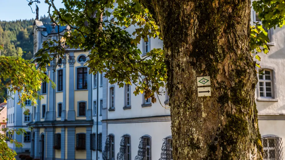 Markierung des Schluchtensteigs an einem Baum