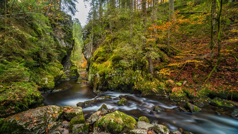 In der Haslachklamm bei Lenzkirch, Etappe 3