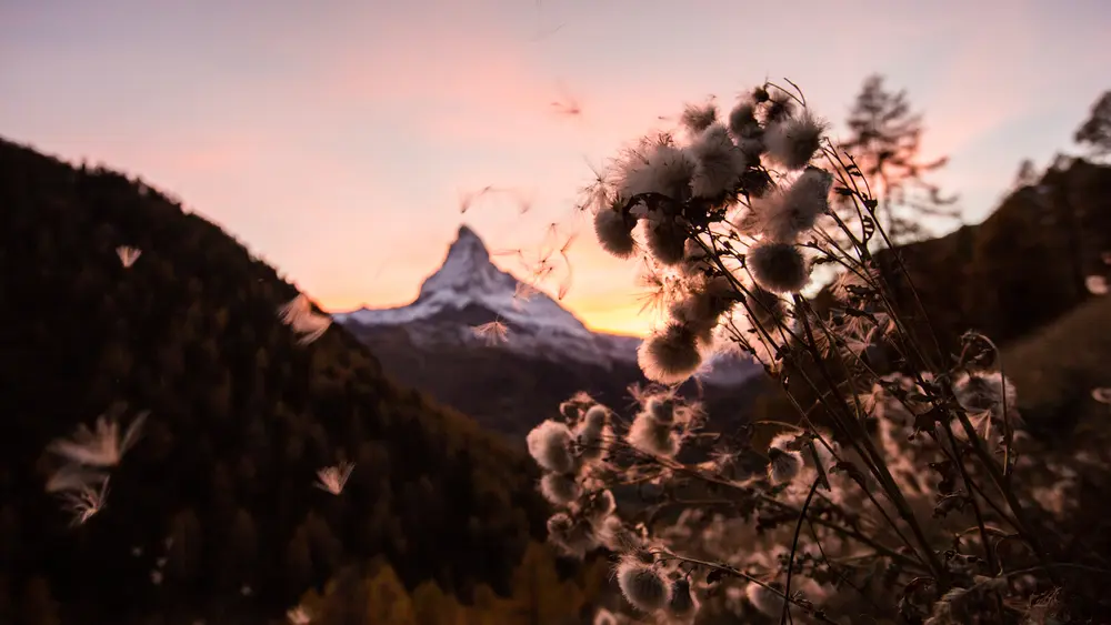 Blick auf das Matterhorn