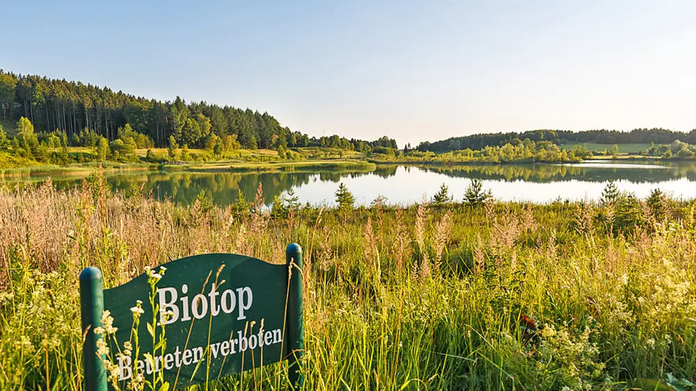 Blick auf ein Biotop des Waldsee Golf-Resorts