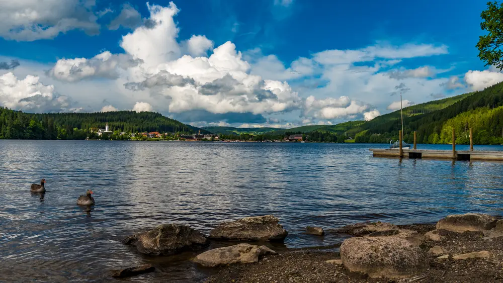 Blick über den Titisee