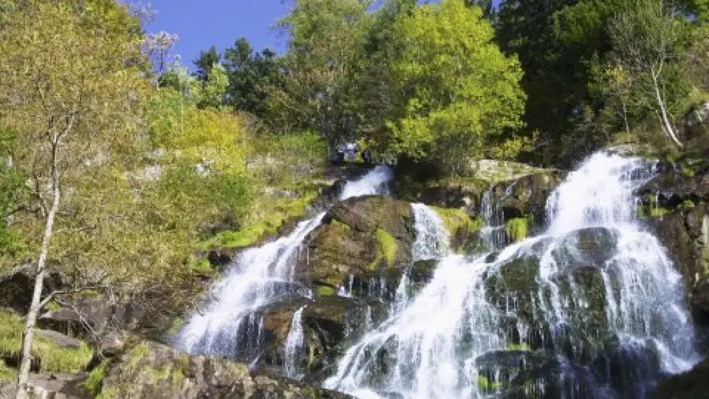 Wasserfall am Todtnauberg