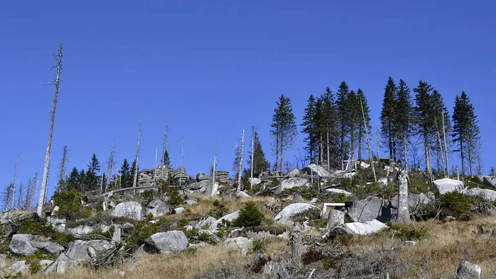 Gipfelkissen auf dem Dreisesselberg