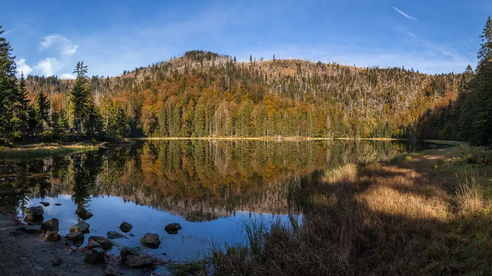 Herbstlicher Rachelsee im Nationalpark Bayerischer Wald