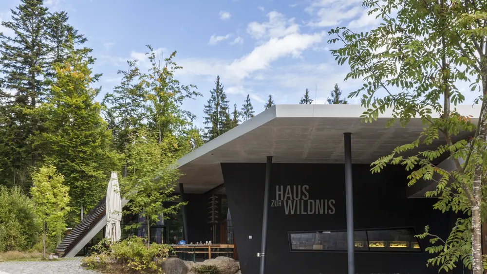 Haus zur Wildnis am Falkenstein Nationalparkcenter in Ludwigsthal