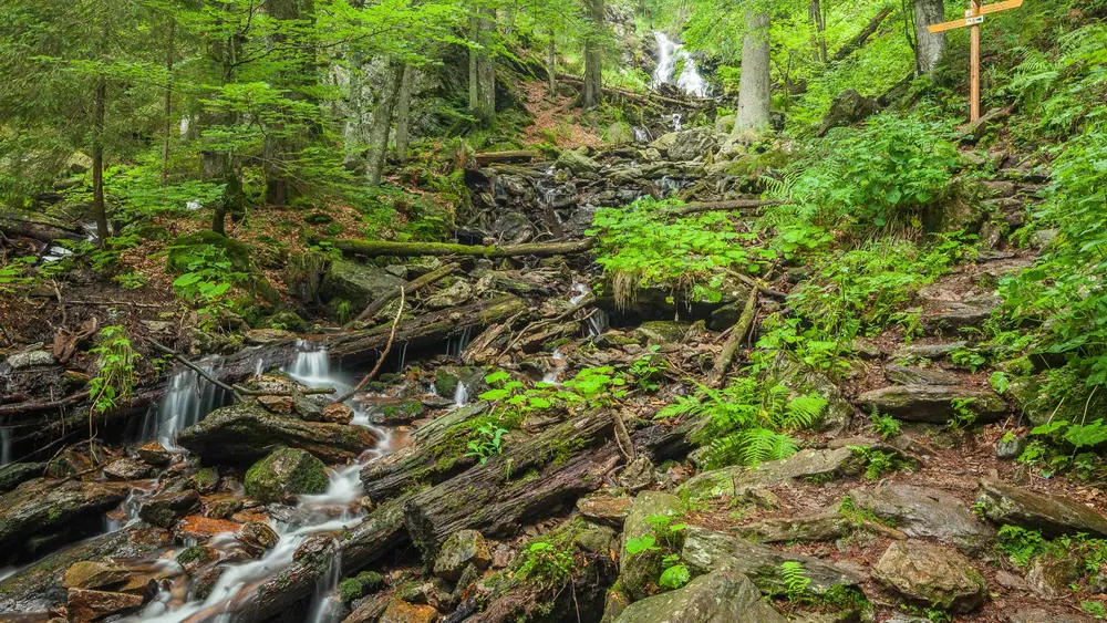 Fließendes Wasser im Höllbachspreng des Bayerischen Walds