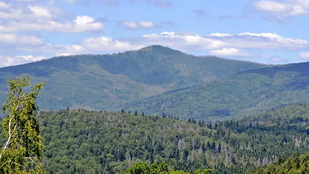 Blick auf den Großen Rachel im Bayerischen Wald