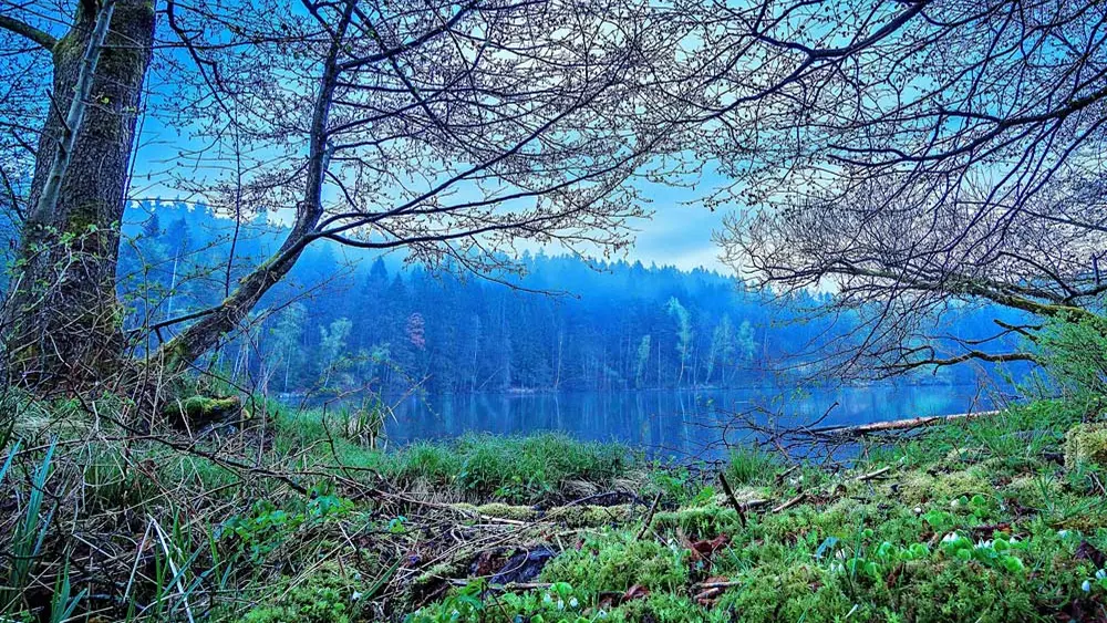 Blick auf den Höllensteinsee bei Viechtach