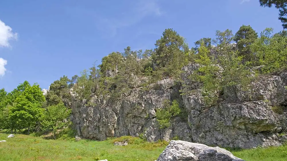 Blick auf die Quarzformation Pfahl bei Viechtach